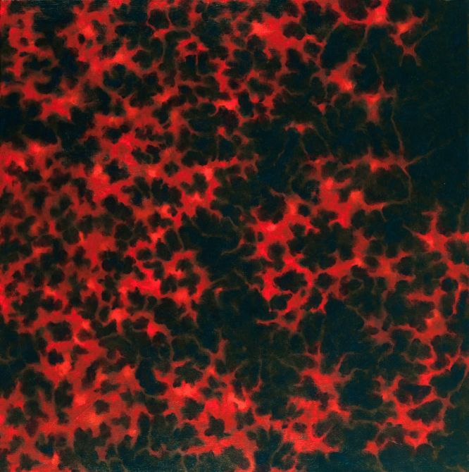 Connection